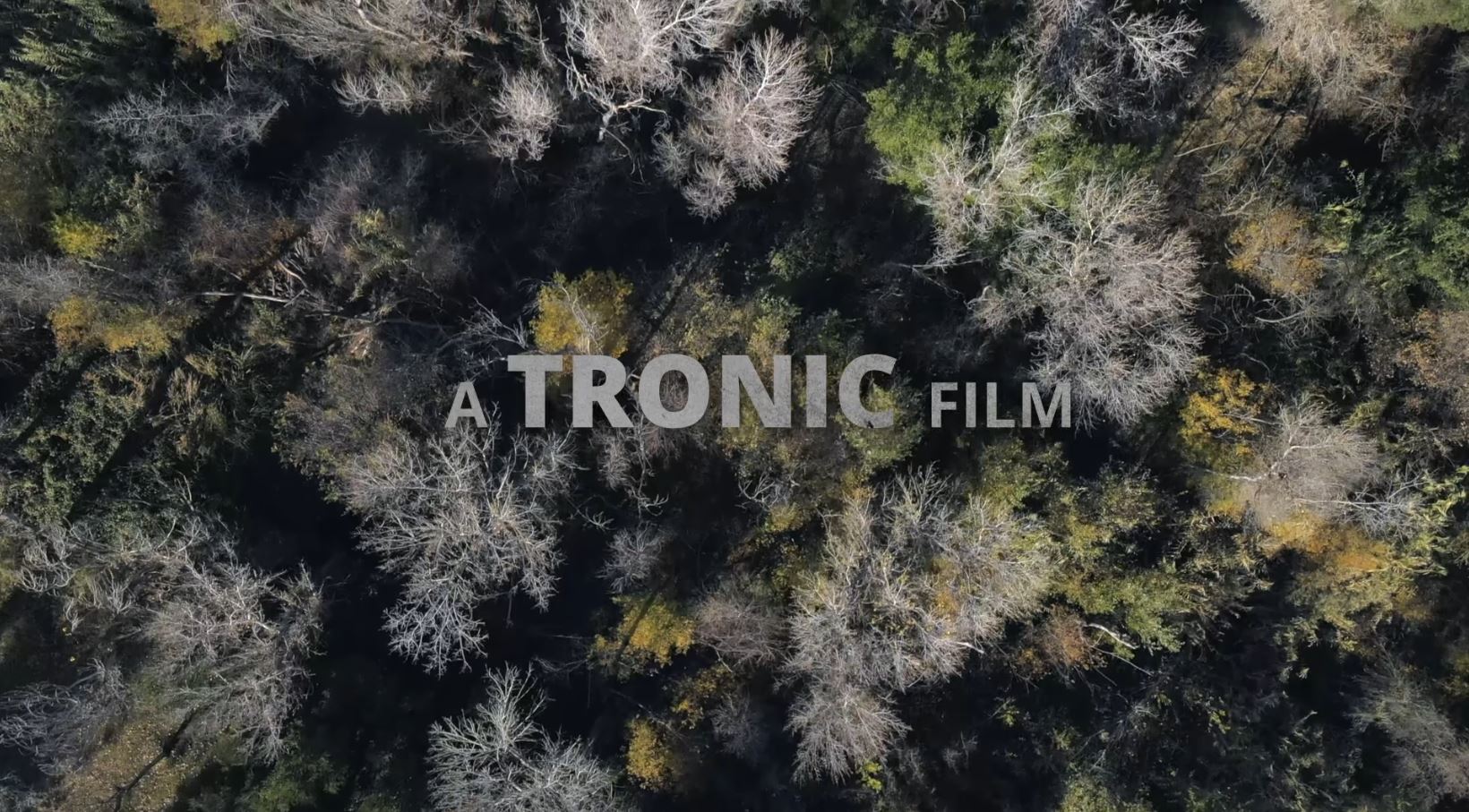 Logo ident pack thumbnail